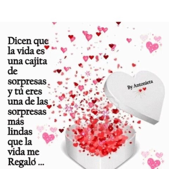 Meet your Posher, Franklin - Picture 1 of 1